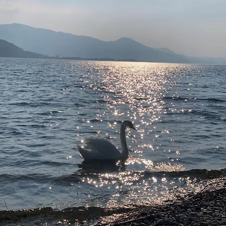 Strandhotel Отель